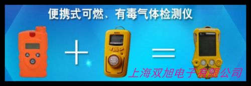 便攜式氧氣檢測儀 一氧化碳探頭