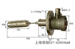 P䓻ʽ_P(gun)(bo)r(ji)