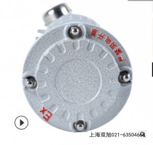 聲光報警器BC-2W